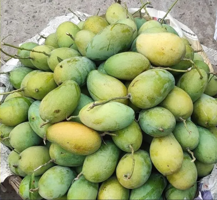 Amrapali Mango / আম্রপালি আম - Rural Shop BD