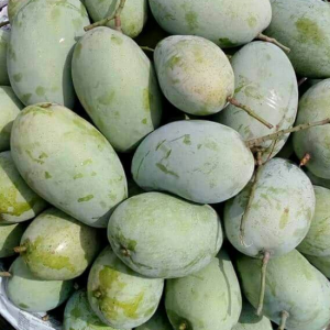 Fazli Mango