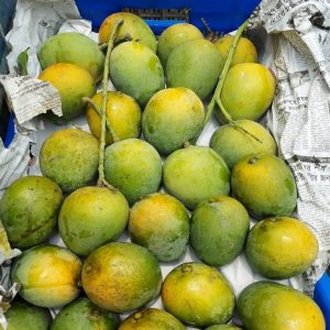 Himsagar Mango