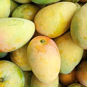 Lokkhonvog Mango