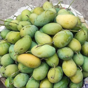 আম্রপালি আম